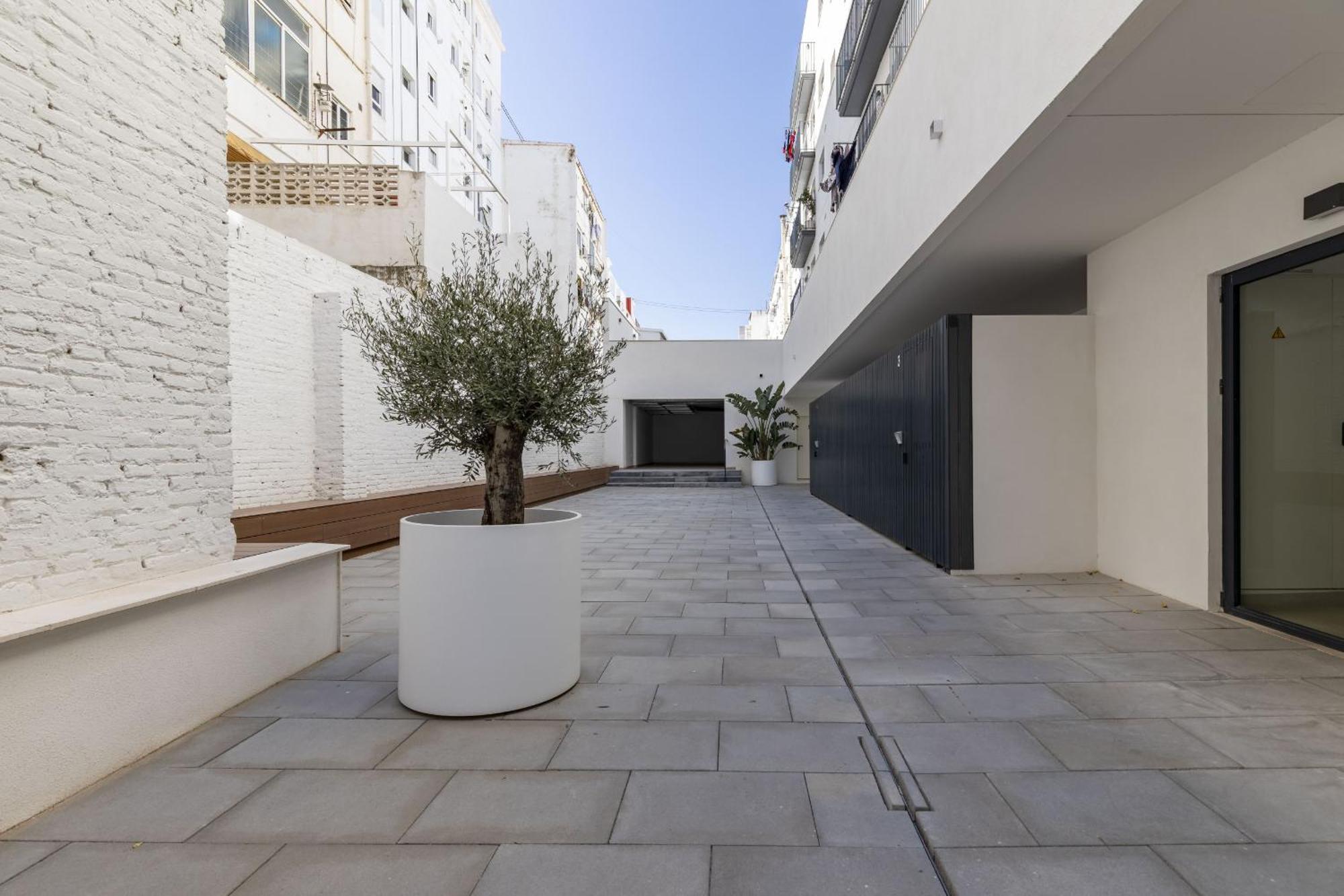 Apartup Turia River Park Valencia Exterior photo