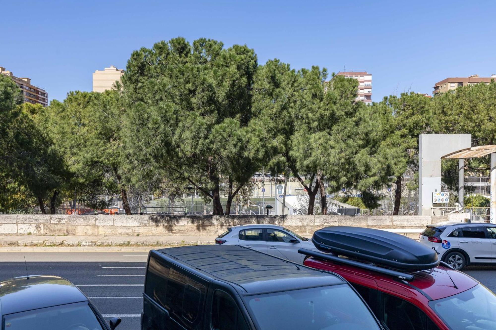 Apartup Turia River Park Valencia Exterior photo